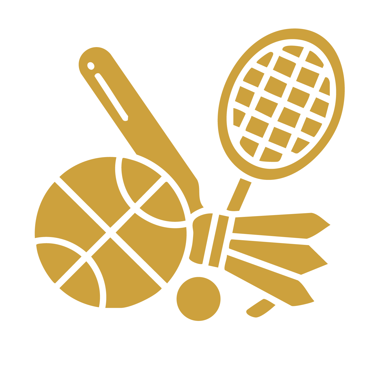 Ready to use sports